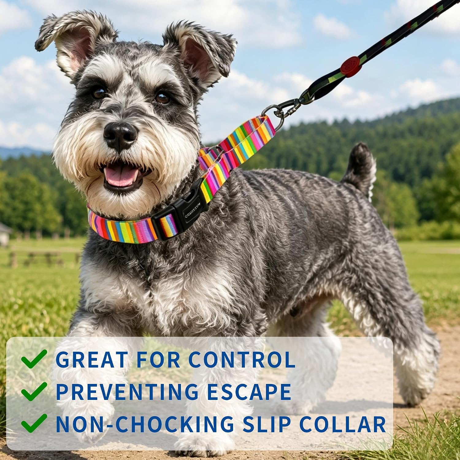 Detalle 1 de Kazazoo Martingale Dog Collar, Size S