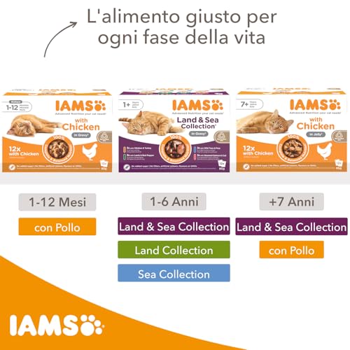 Detalle de IAMS Delights Kitten: Cibo umido pollo in salsa per gattini, 12 x 85 g