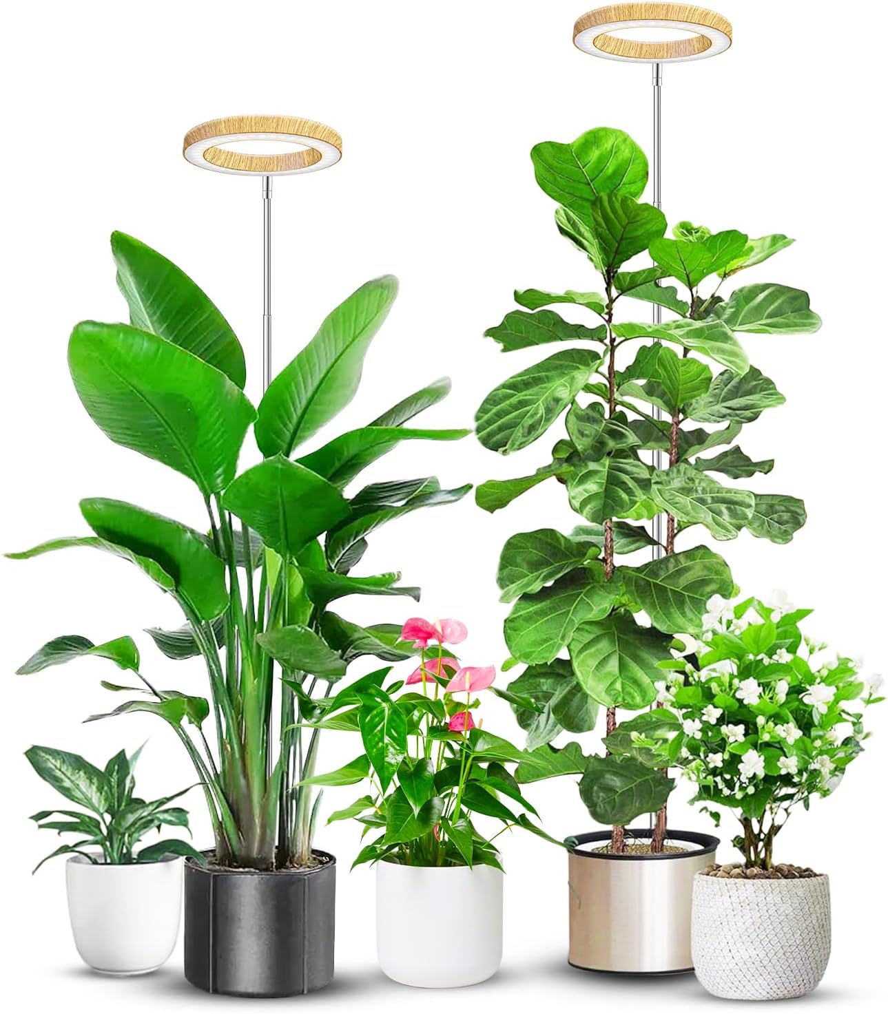 Detalle de Aokrean 6.3in Grow Light, Full-Spectrum LED with Adjustable Height and Timer