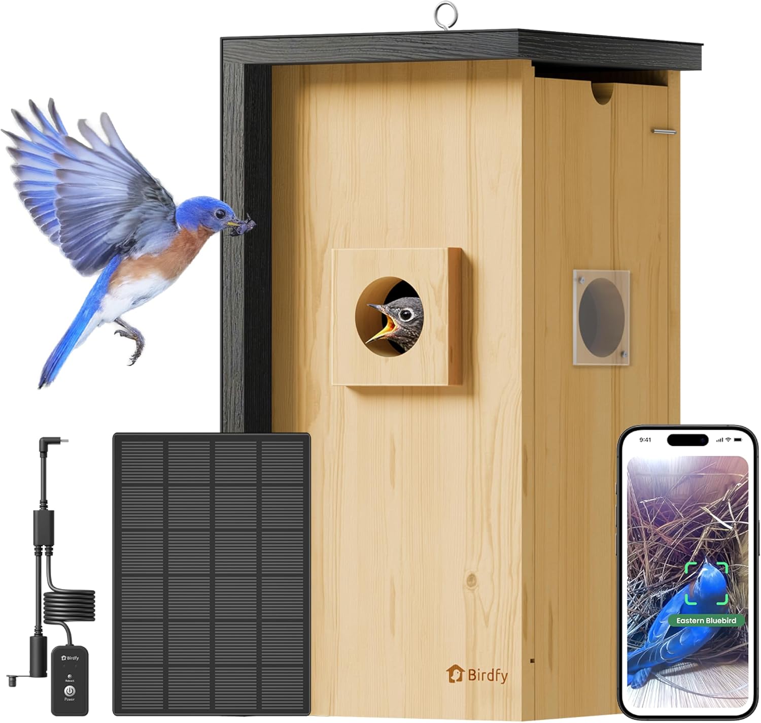 Birdfy Bird House with Camera: Solar Powered Outdoor Nest Cam for UK Birders