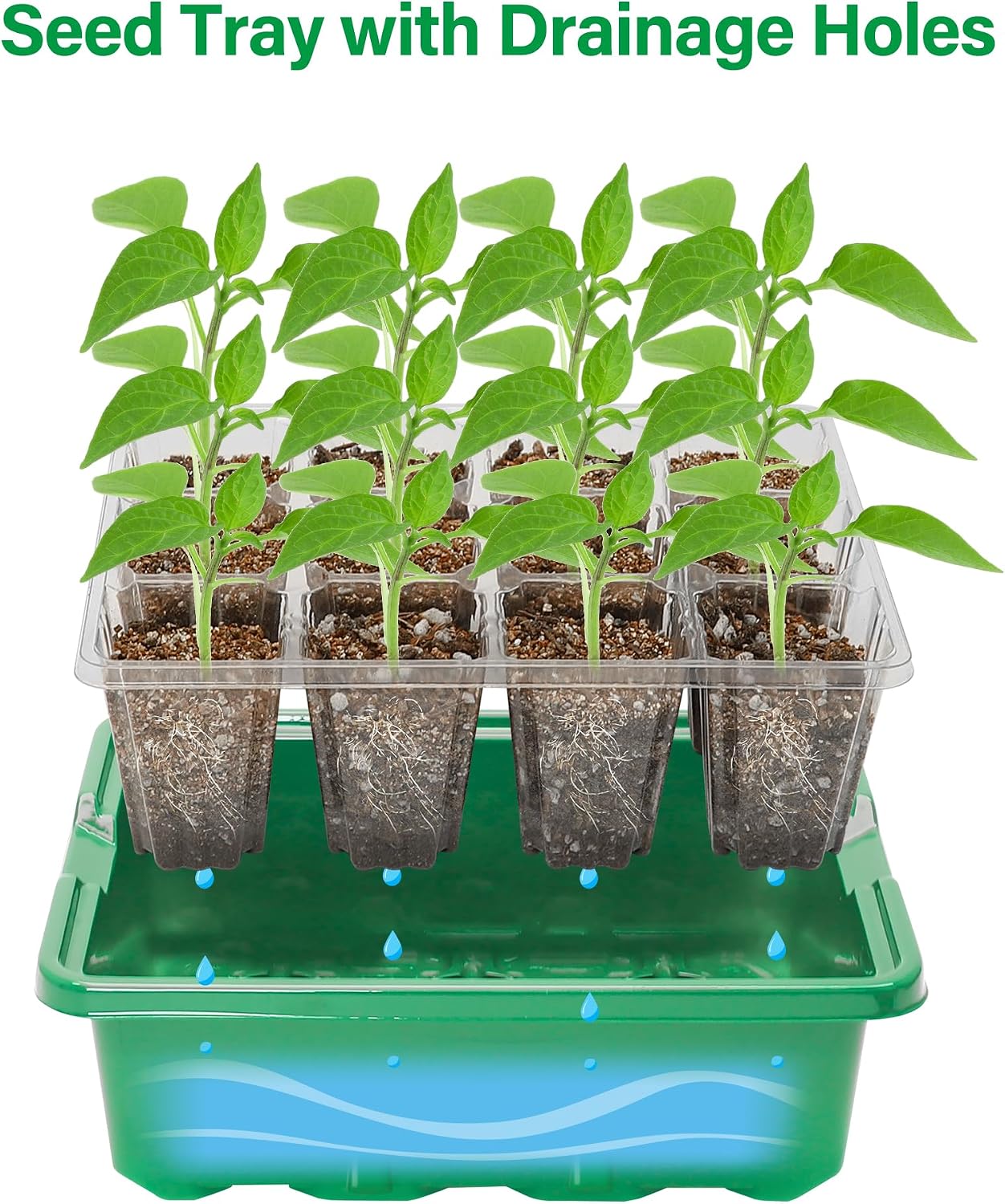 Thumbnail 5 de Bonviee No1 Seed Starter Tray Kit, 60 Cells, 12-LED Grow Lights, Green, 5-Pack