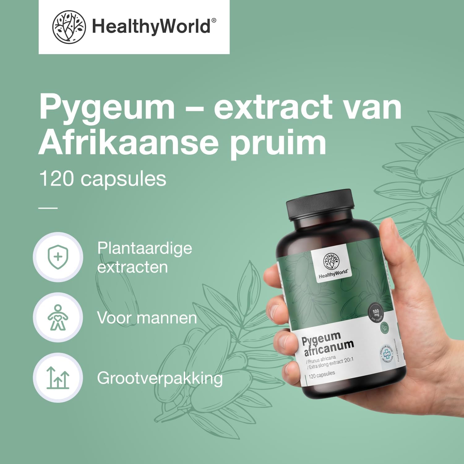 Detalle de HealthyWorld Pygeum 100 mg, extract 20:1, 120 vegetarische capsules