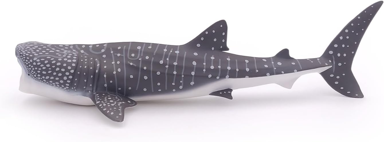 Detalle de Papo - Figurine Requin Baleine Réaliste Jouet Enfant 3 Ans+ | Univers Marin