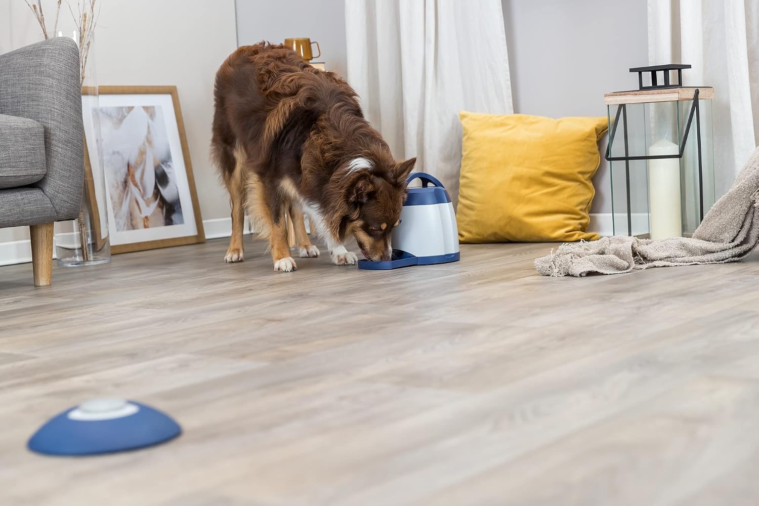 Detalle 2 de TRIXIE Intelligenz-Dog-Activity Strategie-Spiel Memory Trainer 3.0 (32040) – für anspruchsvolle Beschäftigung
