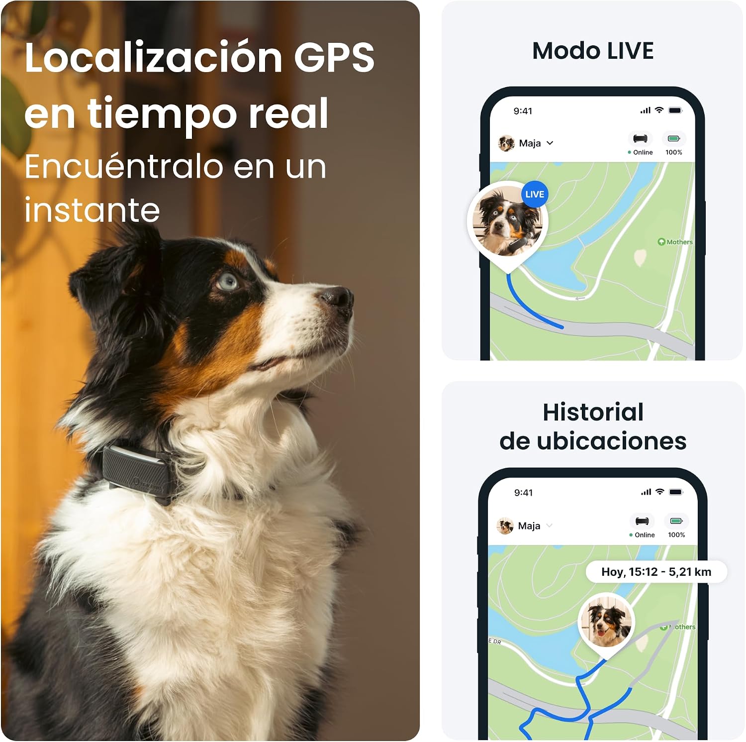 Detalle 2 de Tractive GPS perros 2025 Edición