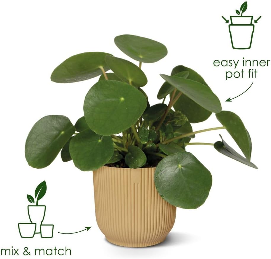 Detalle de elho Vibes Fold Round 22cm Flower Pot – Anthracite: Durable, Recycled Plastic Planter for Indoor Use