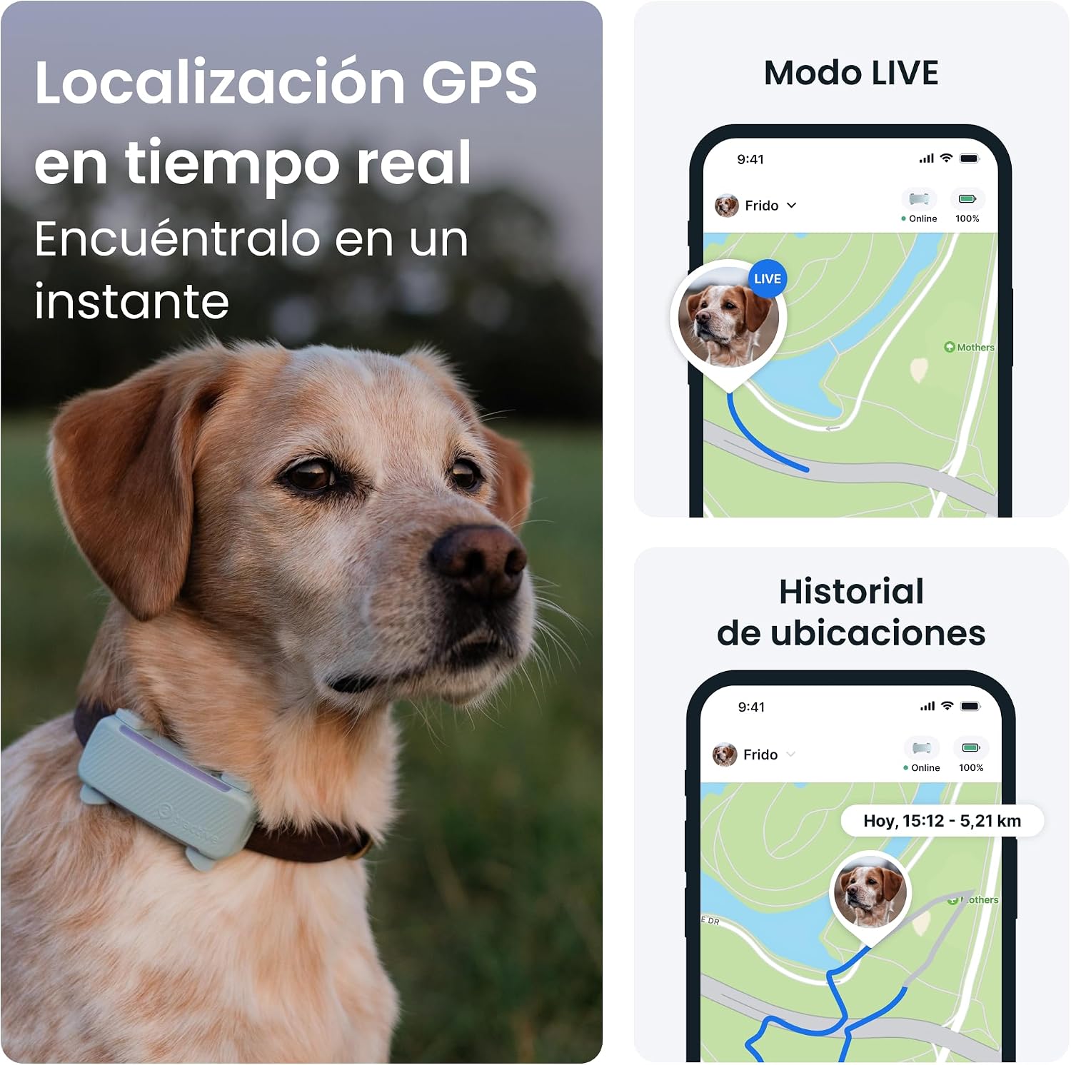 Detalle de Tractive GPS perros 2025 Edición — Localización en tiempo real, salud y alertas de fuga