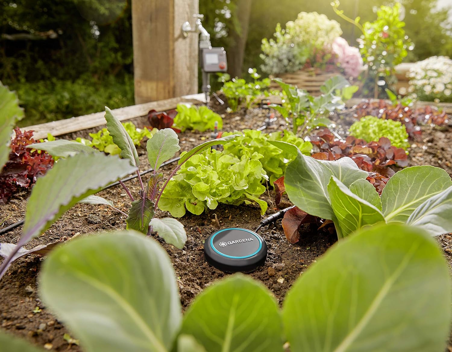 Thumbnail 4 de Gardena Verlängerungskabel 10 m – für Bodenfeuchtesensor und Regensensor, erweiterbar bis 105 m