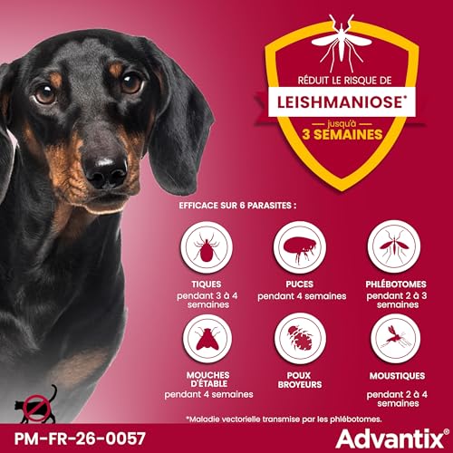 Detalle 2 de Advantix Petit Chien 4–10 kg, 4 pipettes de 1,0 ml – Protection antiparasitaire externe sur 4 semaines