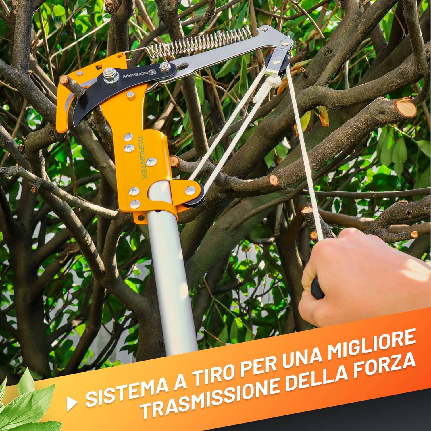 Thumbnail 5 de GRÜNTEK Svettatoio Cesoia Potatura Troncarami per Pertica telescopica – Modello compatibile B096Y4VBF2