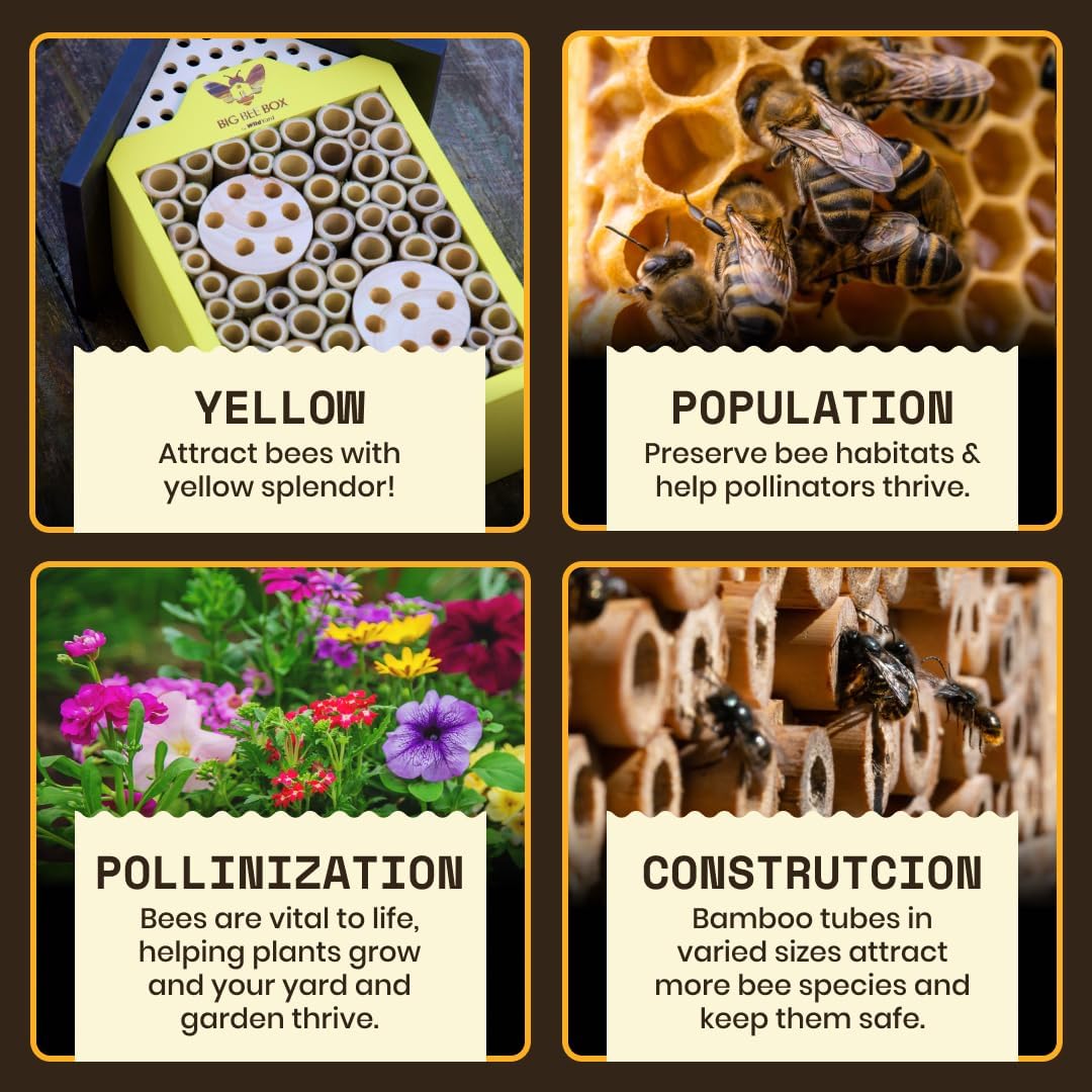 Detalle de WildYard Bee House in legno naturale per api solitarie e impollinatori elettrici