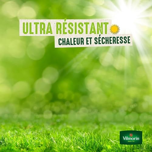 Detalle de Vilmorin Gazon Terrain Sec, Vert, 1 kg