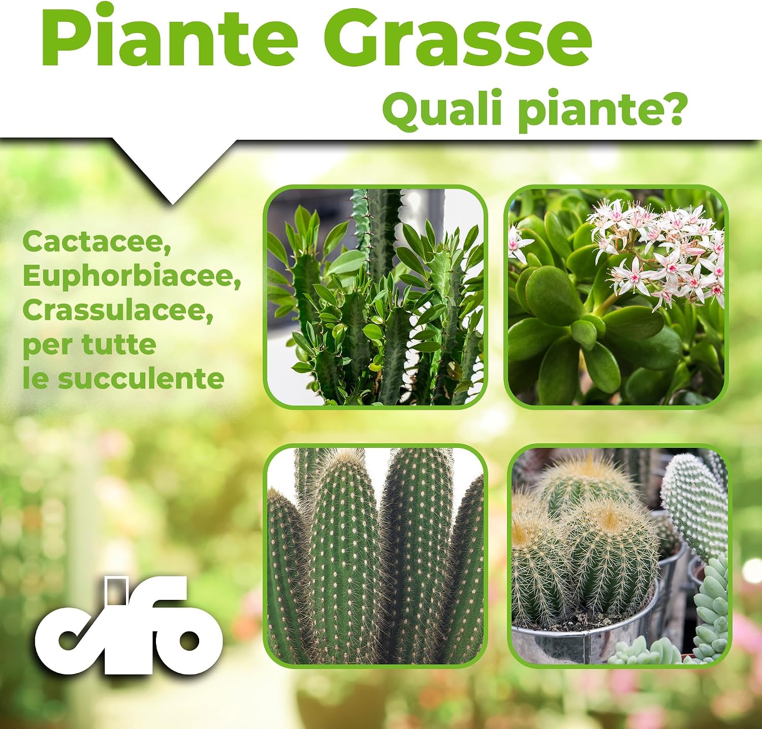 Detalle de CIFO Concime Liquido Piante Grasse e Succulente – 200 ml, ferro e microelementi per sviluppo equilibrato