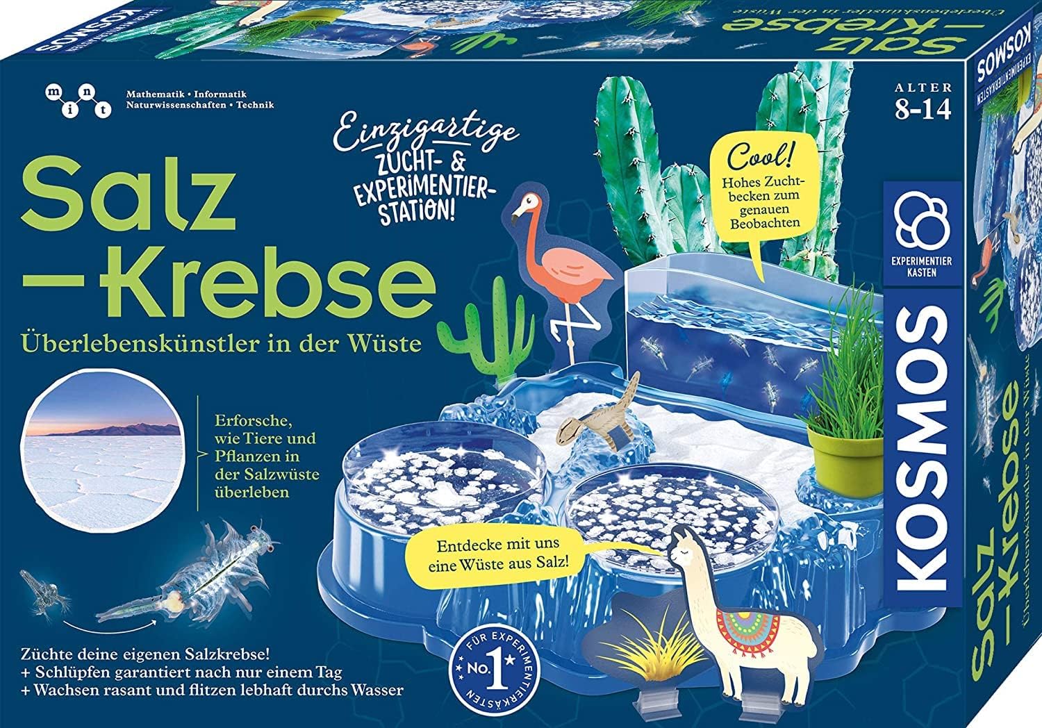 Detalle de Kosmos 633264 Salzkrebse Überlebenskünstler