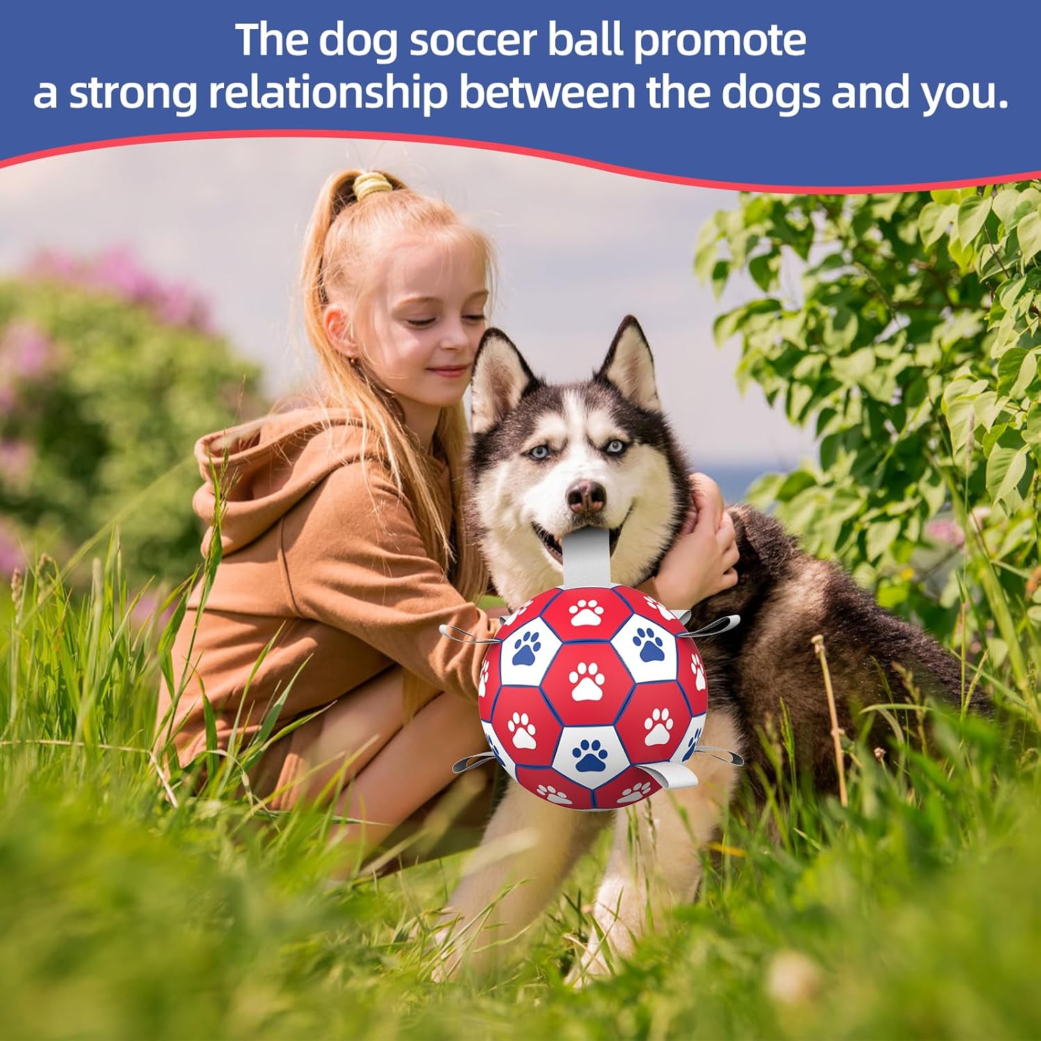 Detalle de HETOO Dog Soccer Ball 8 inch