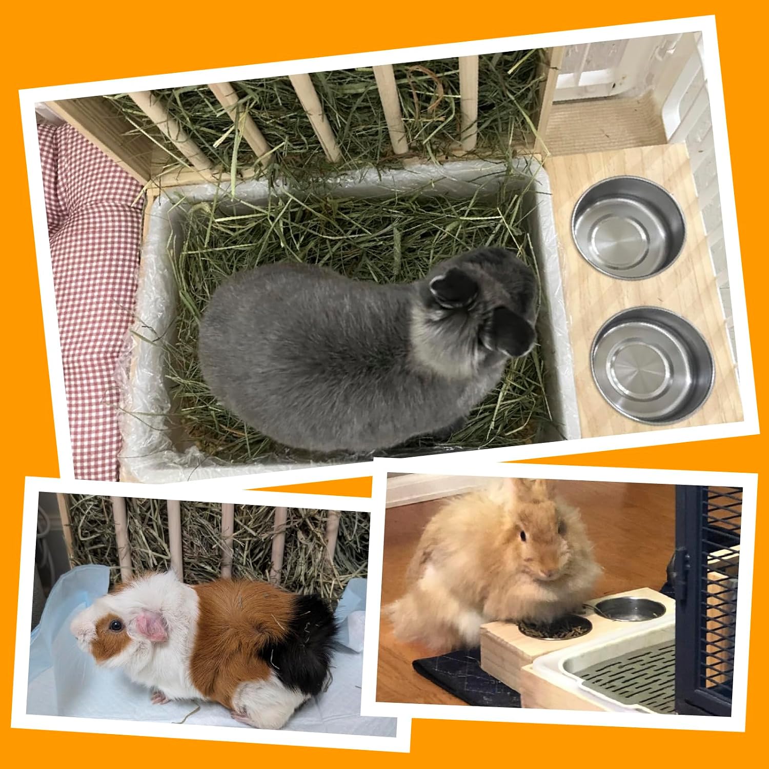 Thumbnail 6 de BESNEW Rabbit Hay Feeder 3-in-1