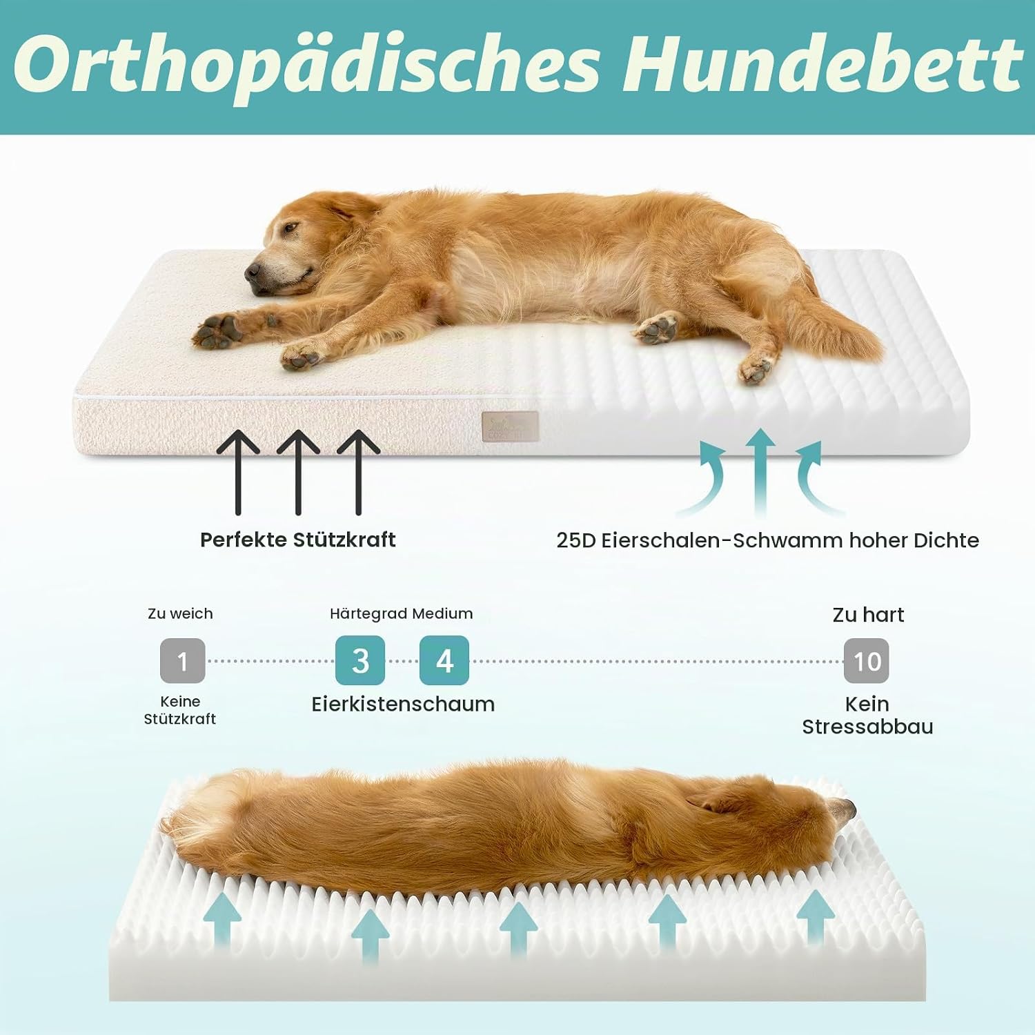 Thumbnail 1 de COZY KISS Orthopädisches Hundebett für große Hunde