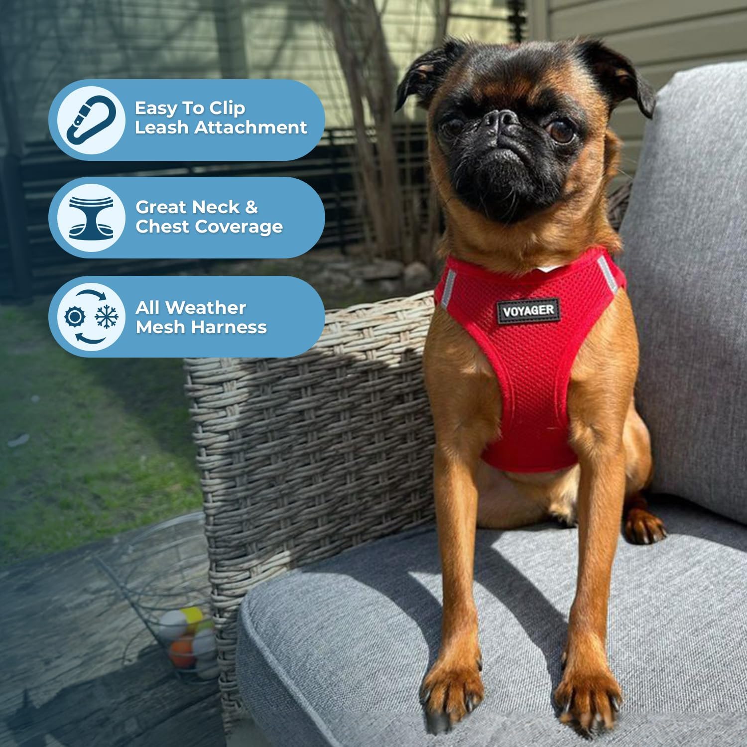 Detalle de Best Pet Supplies Dog Harness and Leash Combo, X-Small