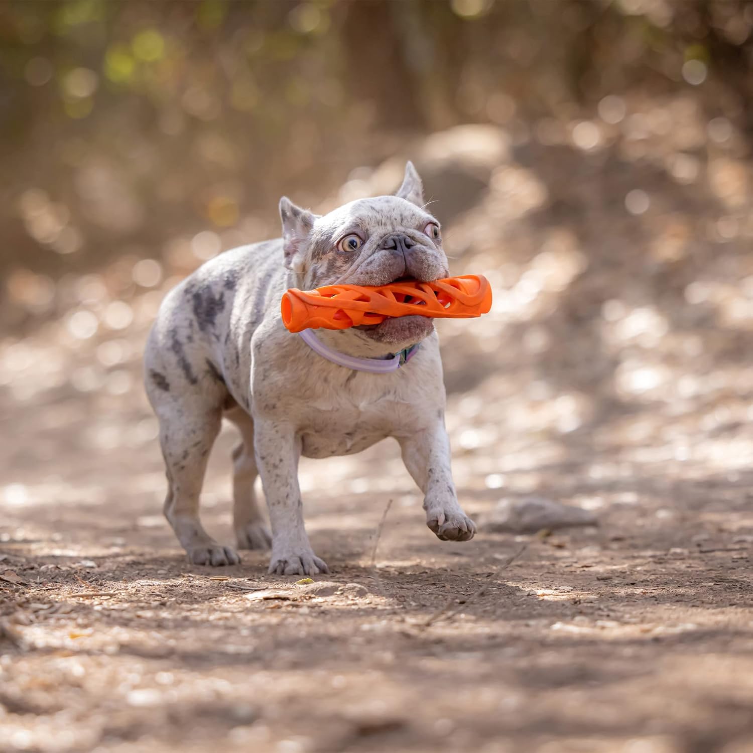 Detalle de Chuckit! Breathe Right Stick Large – A practical fetch toy engineered for longer play
