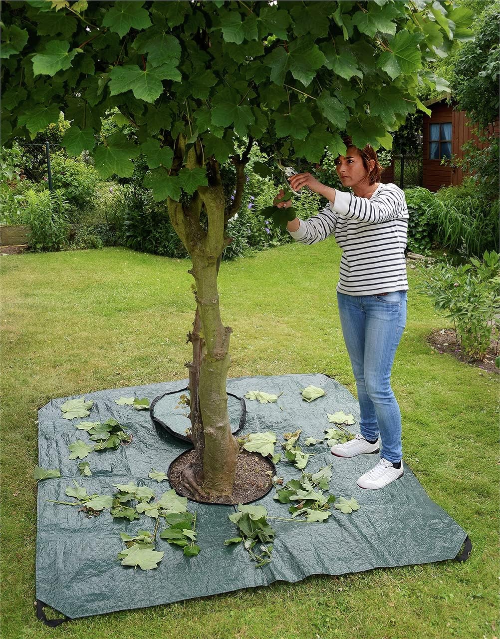 Detalle 2 de Maximex Multi-Tarpaulin Professional – a practical garden cover for tidy, side‑by‑side jobs