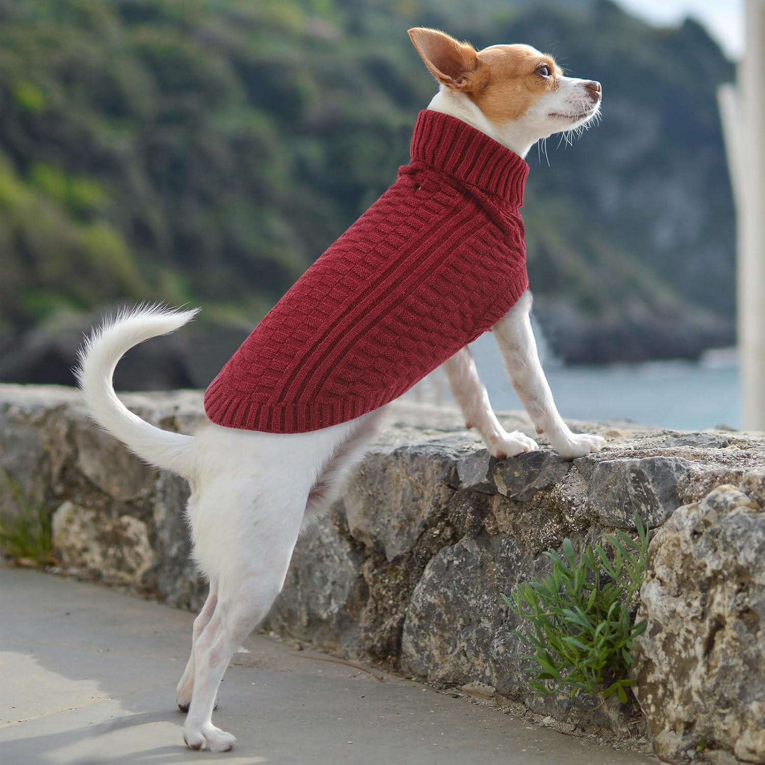 Detalle de CITÉTOILE Hundepullover mit Rollkragen, ärmellos, warmer Strickpullover mit Leinenloch – Rot, XL