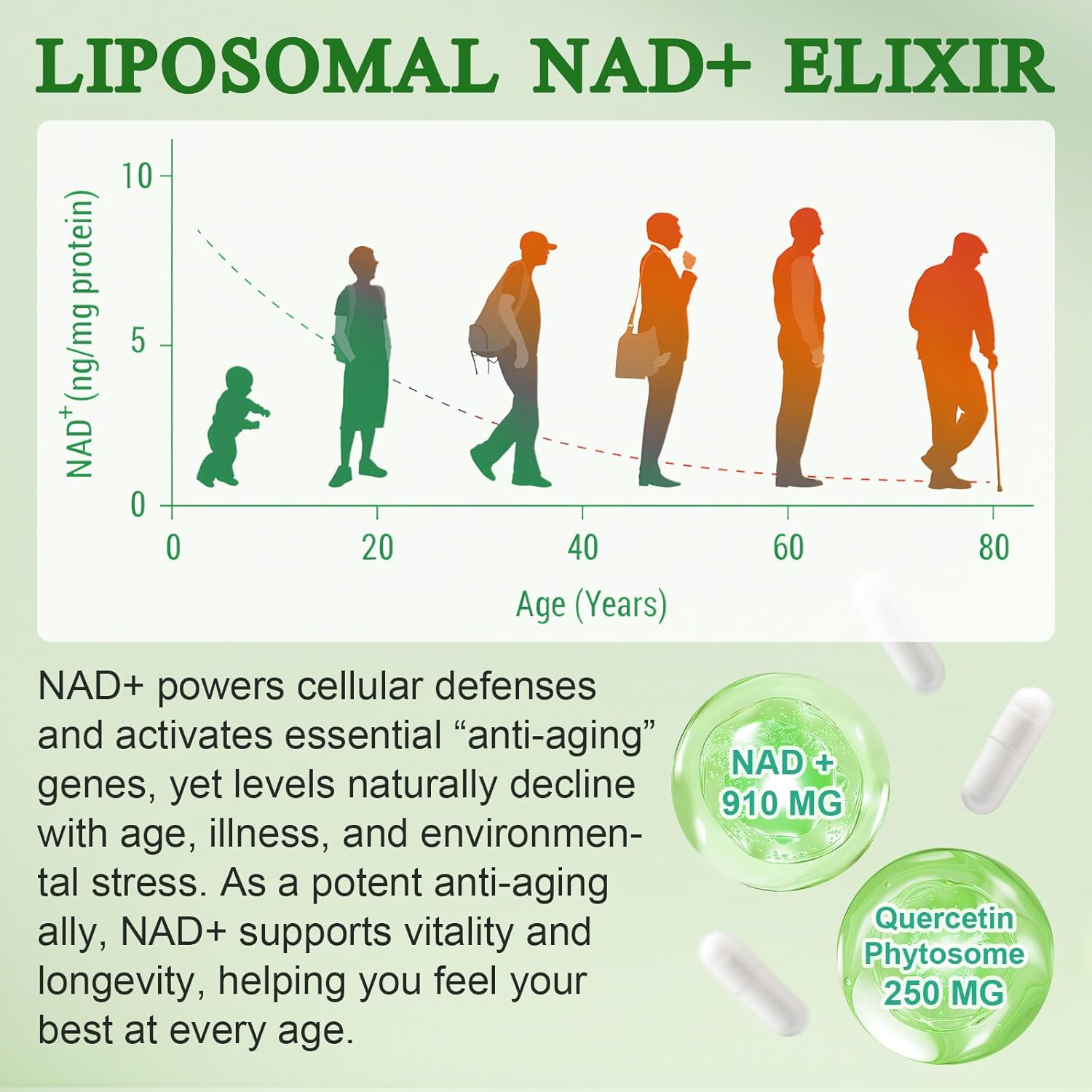 Detalle de Liposomale NAD+ Kapseln 910 mg – NAD Booster 💊