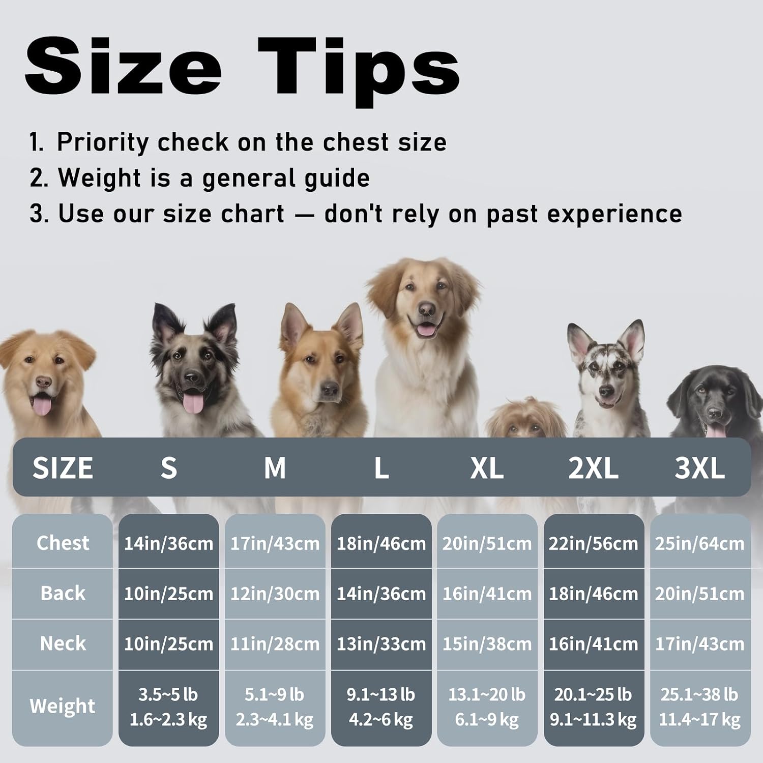 Detalle 2 de COOHAMS dog shirts, 2-pack
