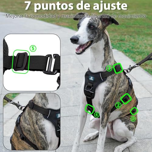 Thumbnail 6 de Paworld Harnais anti-fugue pour chien, réglable, respirant ⚙