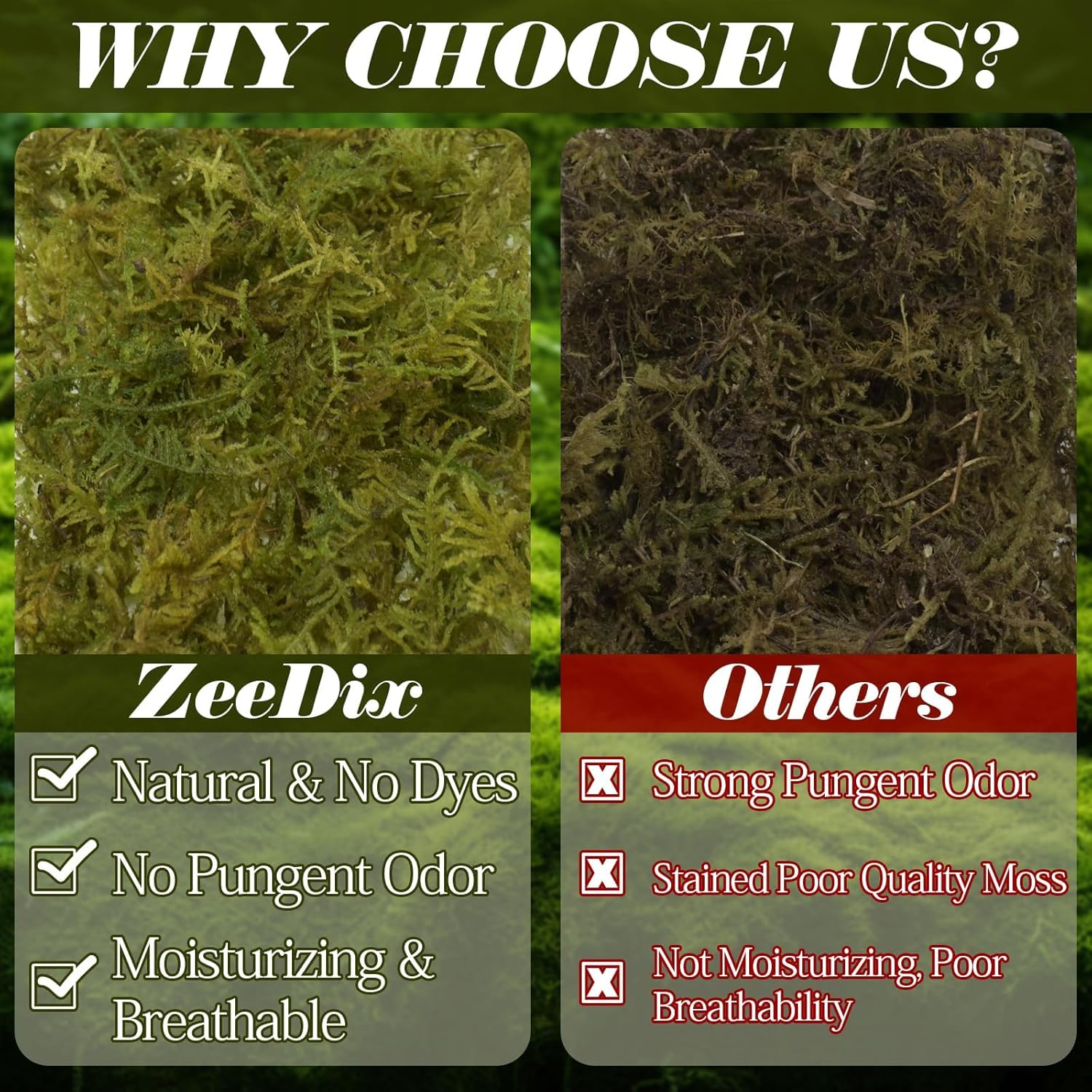 Thumbnail 4 de ZeeDix Terrarienmoos 340 g Natur für Reptilien