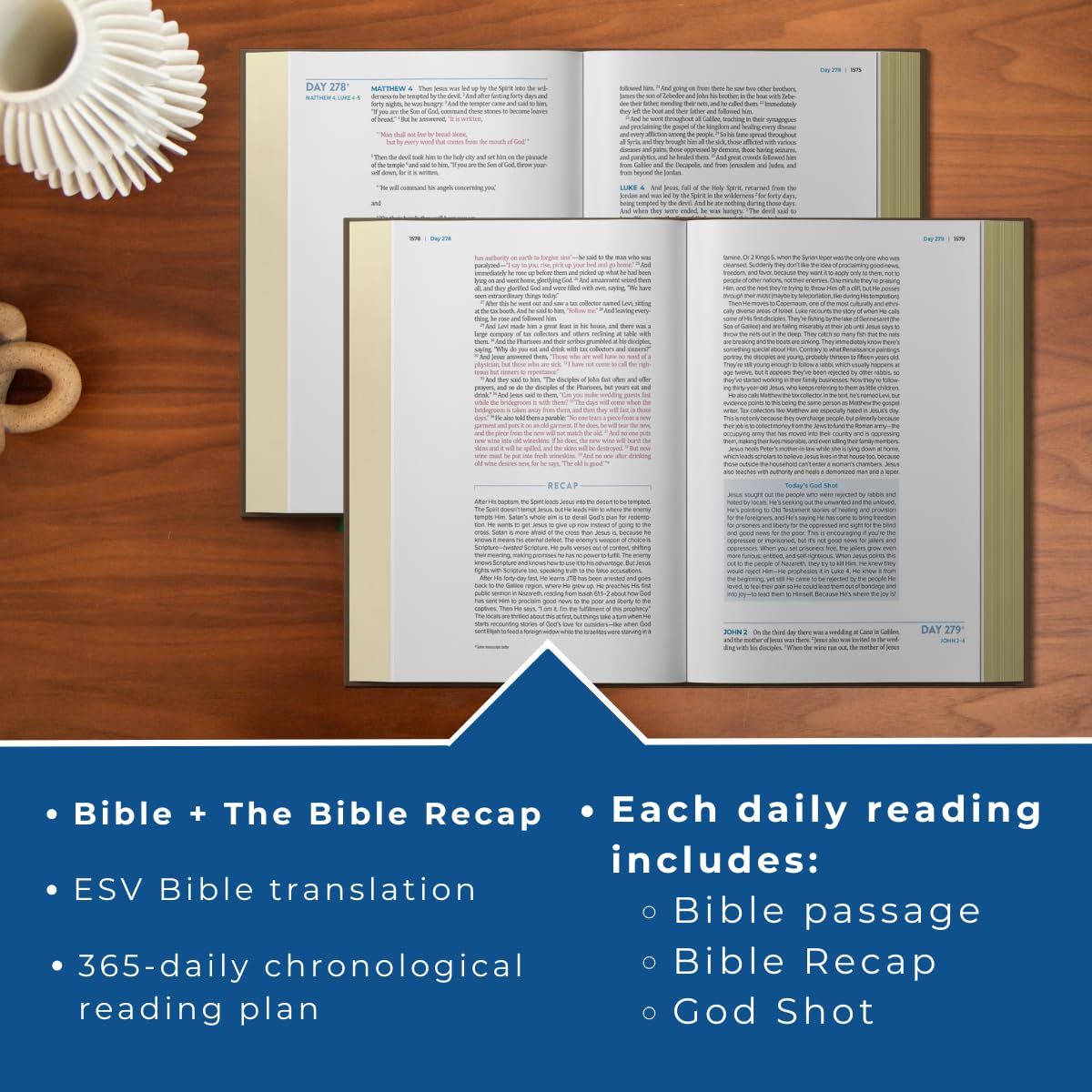 Detalle de The Bible Recap 365-Day Chronological Study Bible, ESV, Imitation Leather