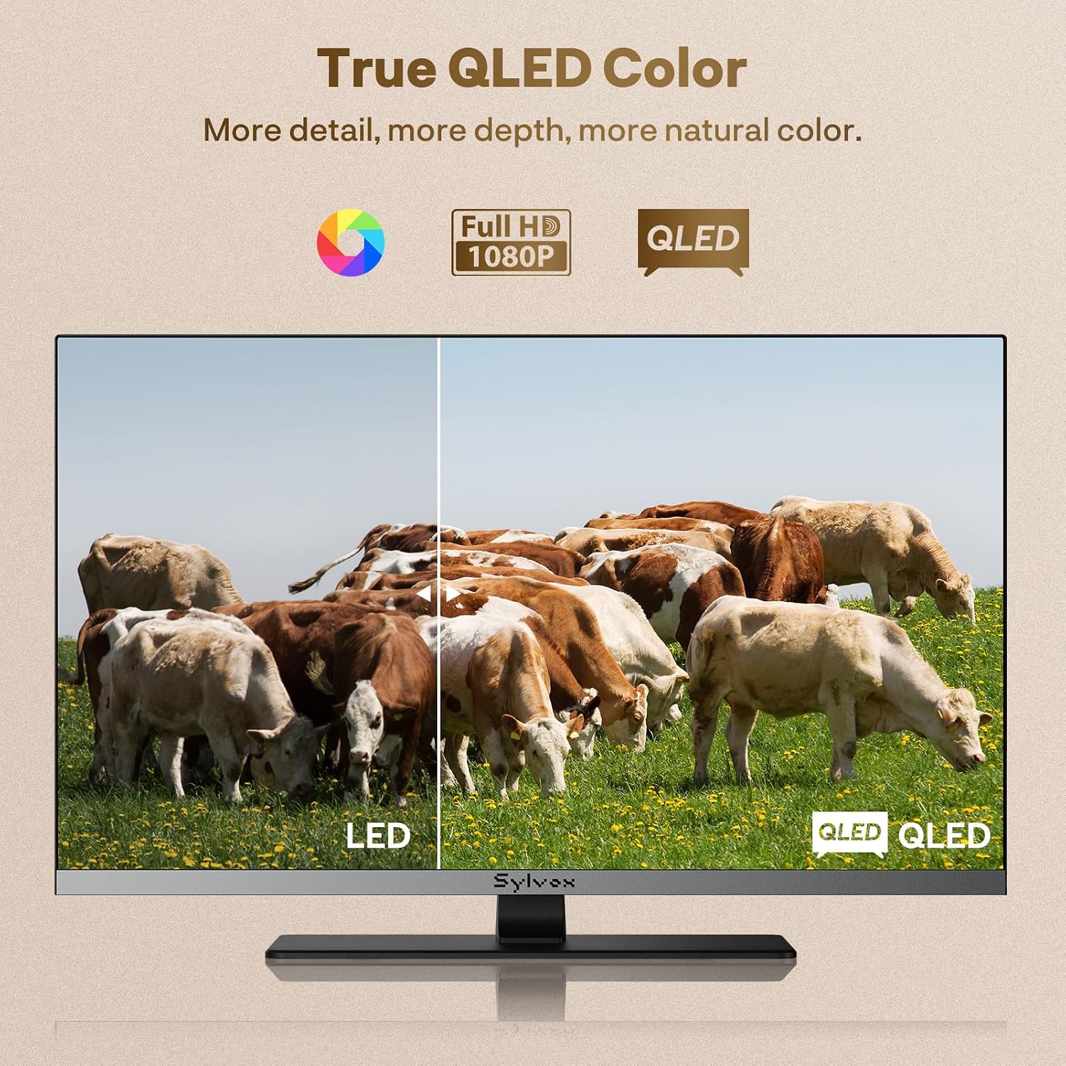 Detalle de SYLVOX 32-Inch 12V QLED RV TV with Built-in DVD Player