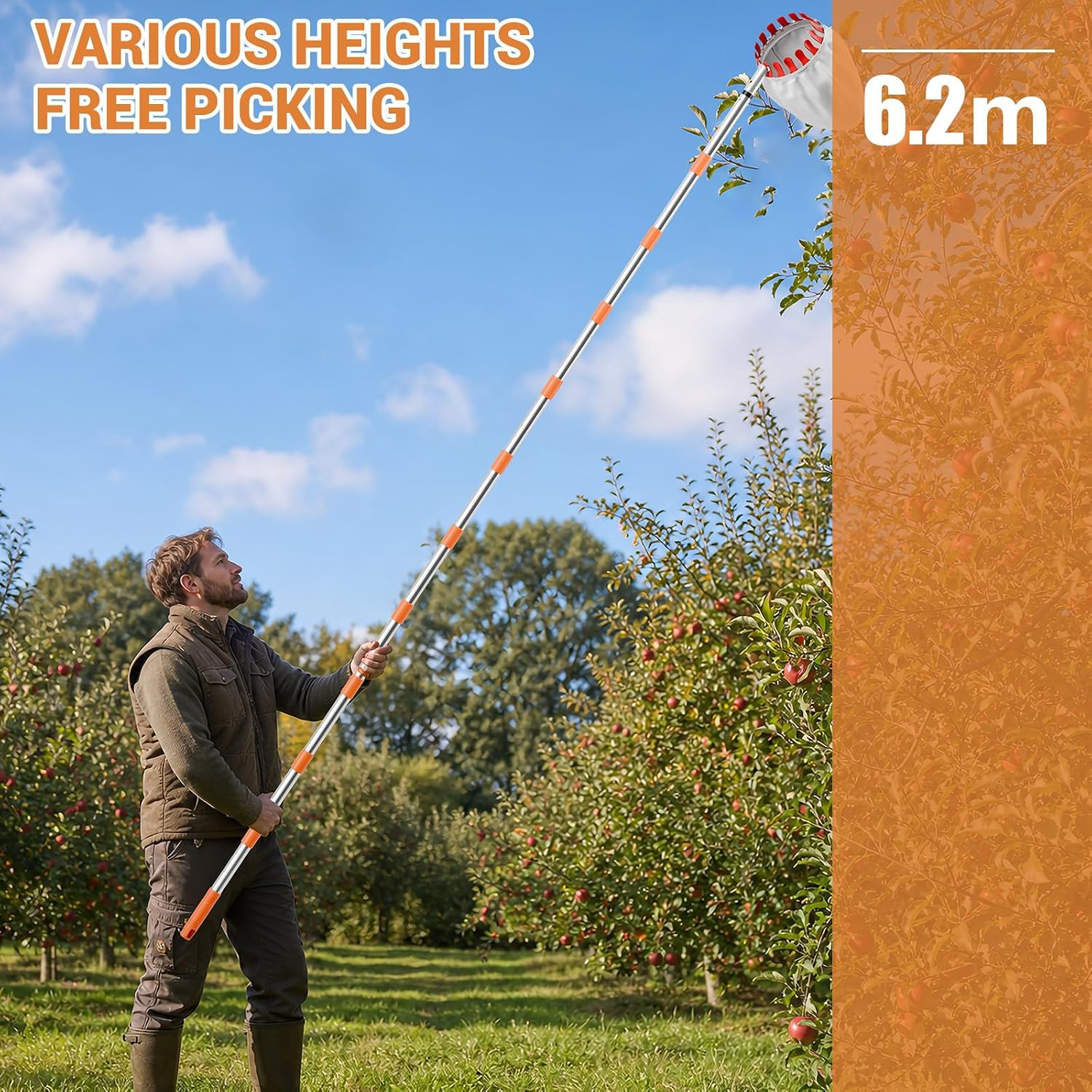 Thumbnail 3 de InemzTal Apple Picker telescopic fruit picker, 6.2 m reach and 16 cm bag