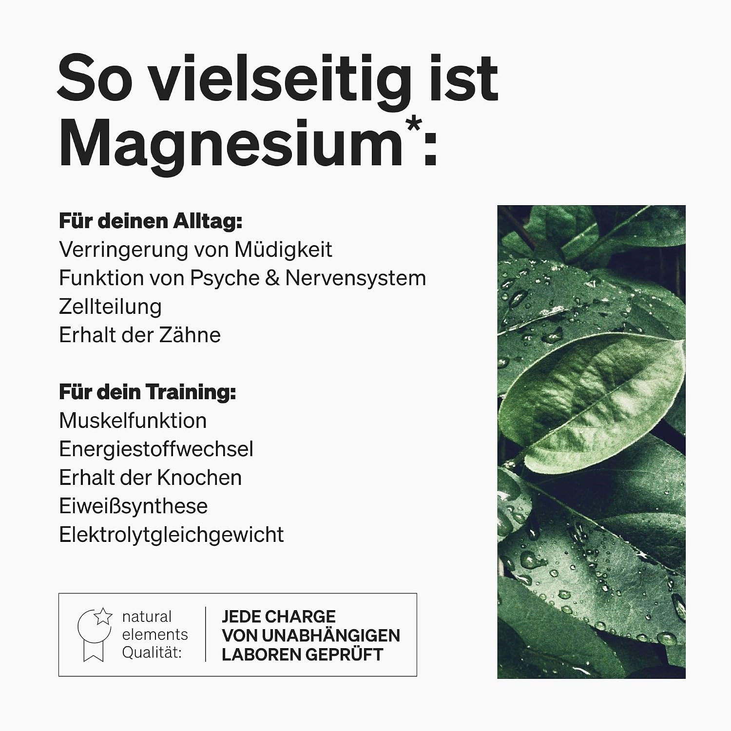 Thumbnail 4 de natural elements Magnesiumcitrat 360 mg Elementares Magnesium Tagesdosis Kapseln