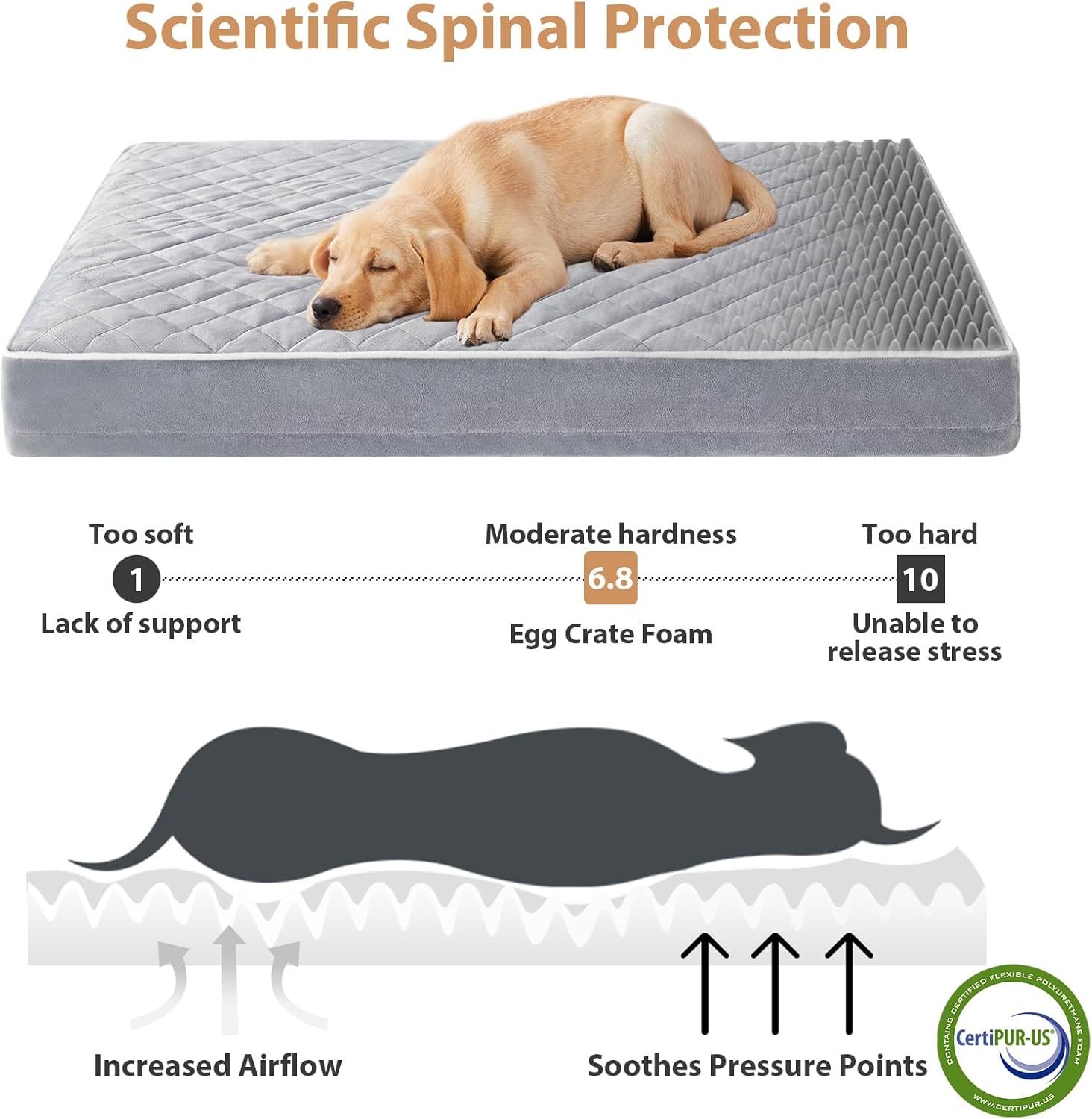 Thumbnail 2 de WNPETHOME Orthopedic Dog Bed XL 42x30x4