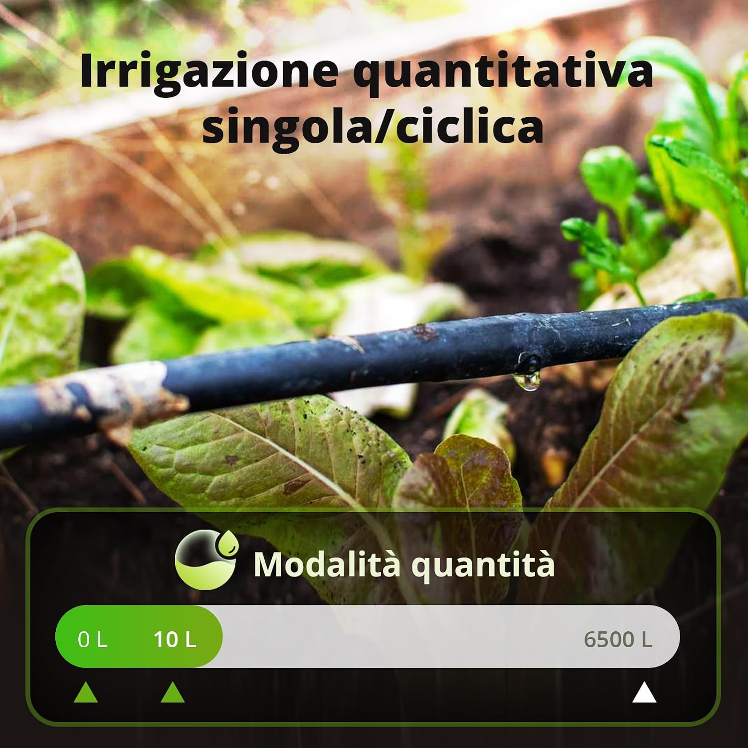 Detalle de SONOFF Computer Irrigazione Automatic: controllo intelligente per un giardino efficiente