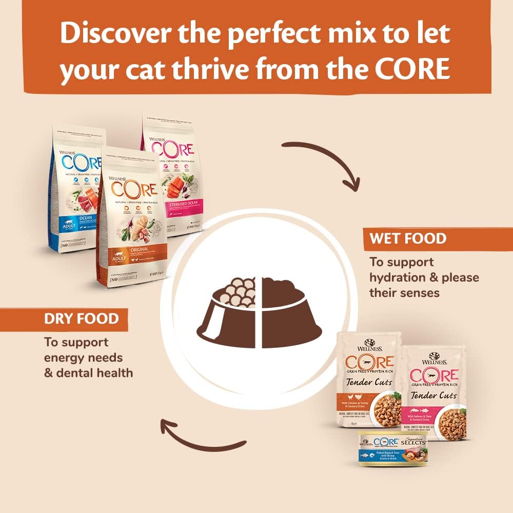 Detalle de Wellness CORE Ocean Ocean 4 kg: Salmon & Tuna Dry Cat Food for Adults