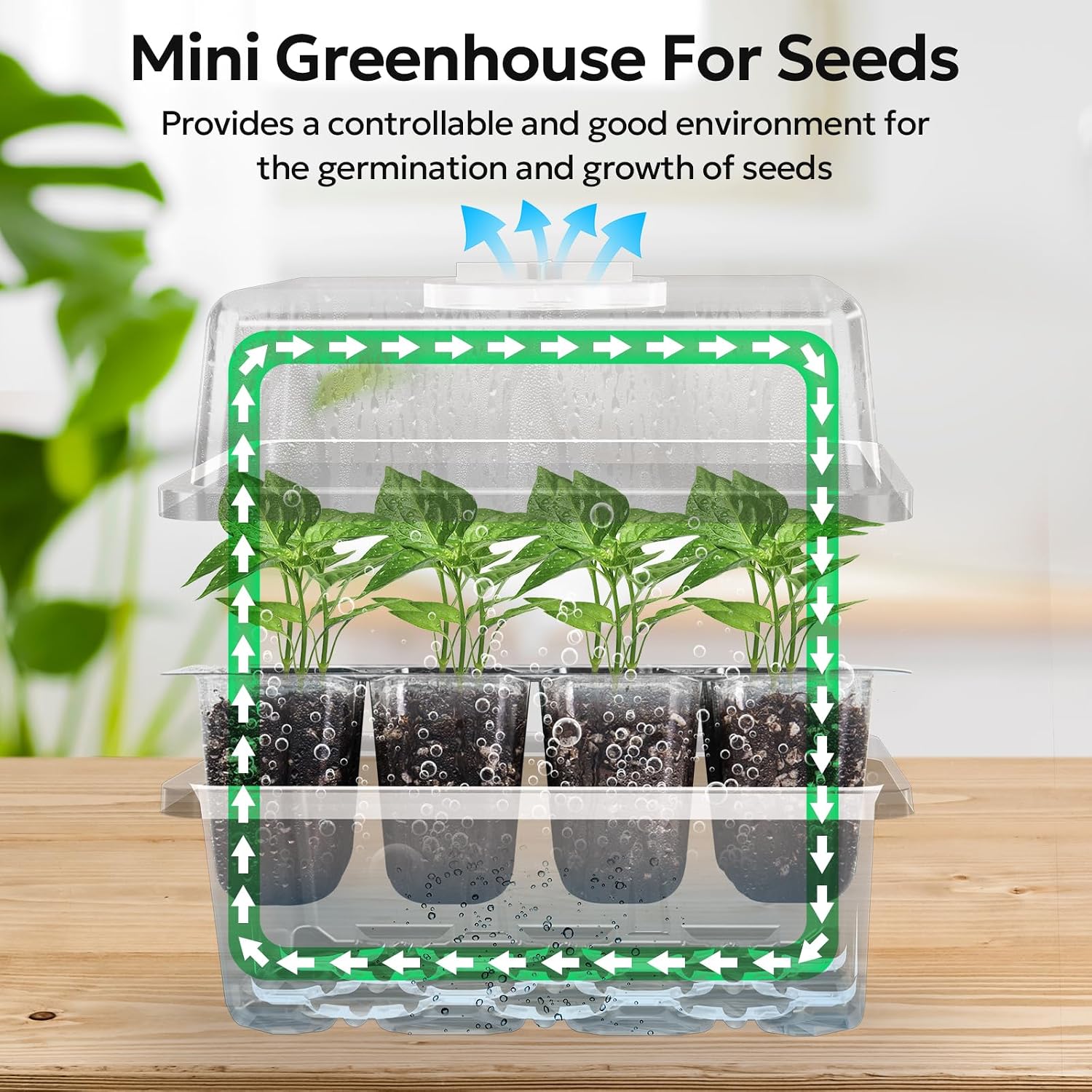 Thumbnail 3 de MIXC Seed Starter Tray, 120-Cell