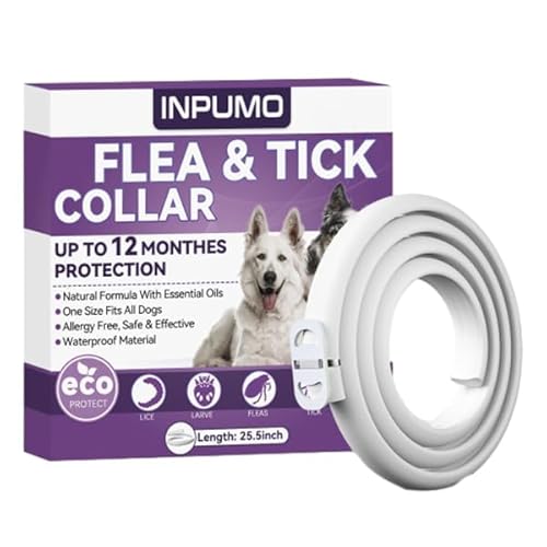 Collar antiparasitario para perros Inpumo: protección natural de 12 meses, impermeable y ajustable