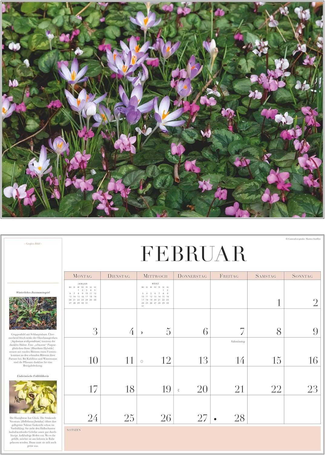 Thumbnail 1 de DUMONT Garten-Kalender 2026 (Broschürenkalender) 42 x 29 cm mit 12 Gartenfotos & Jahresplaner