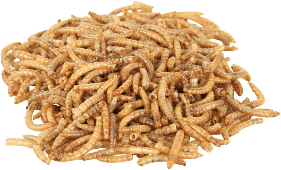Detalle 2 de Trixie Vermi della Farina Disidratato 70 g | Integratore proteico per rettili e piccoli mammiferi