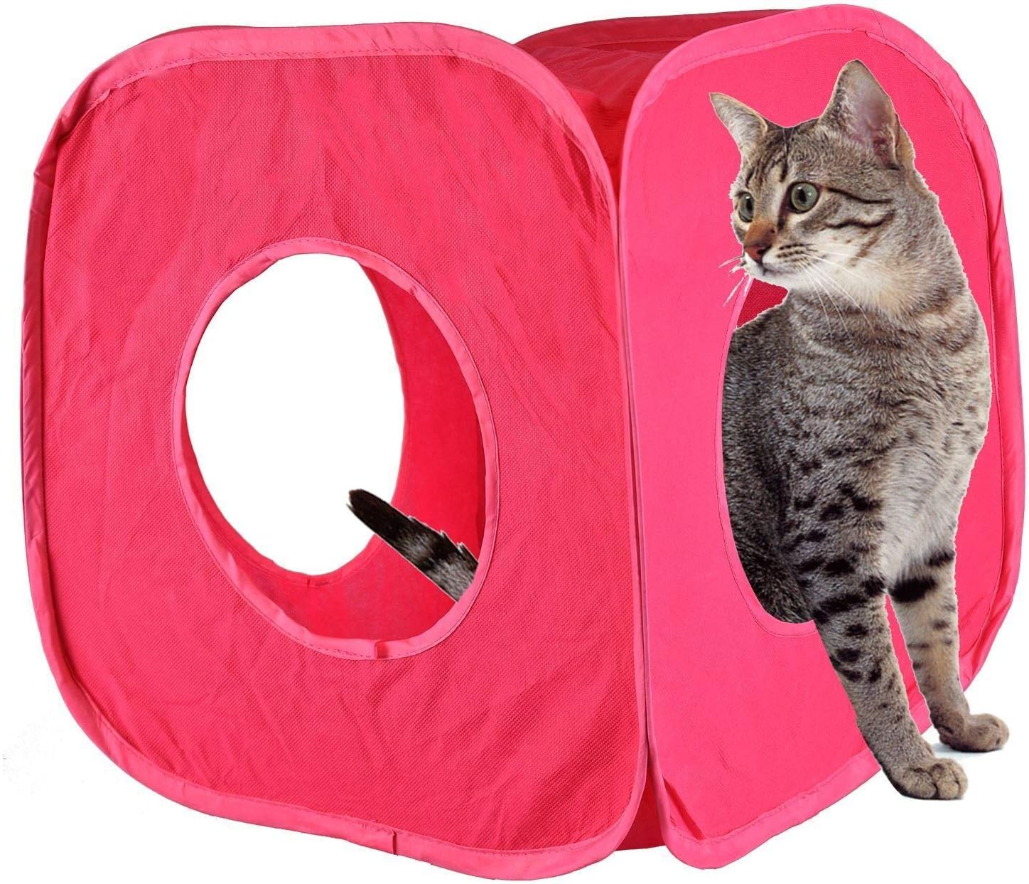 Detalle de Pet Living Pop Up Cat & Kitten Play Cube Fun Strong Box (Orange)