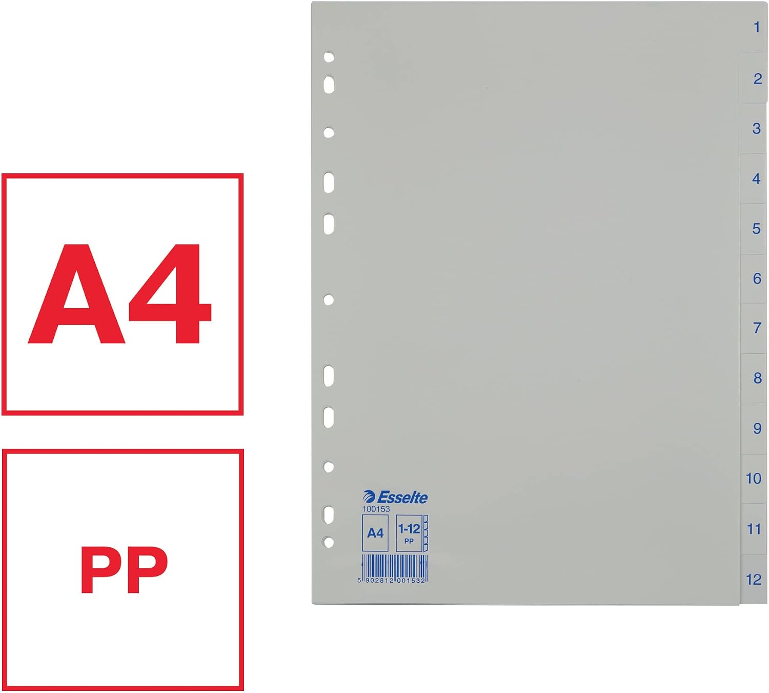 Detalle de Esselte 100153 – Divisori per Formato A4, 12 divisori numerati 1-12 in plastica PP, blu/bianco