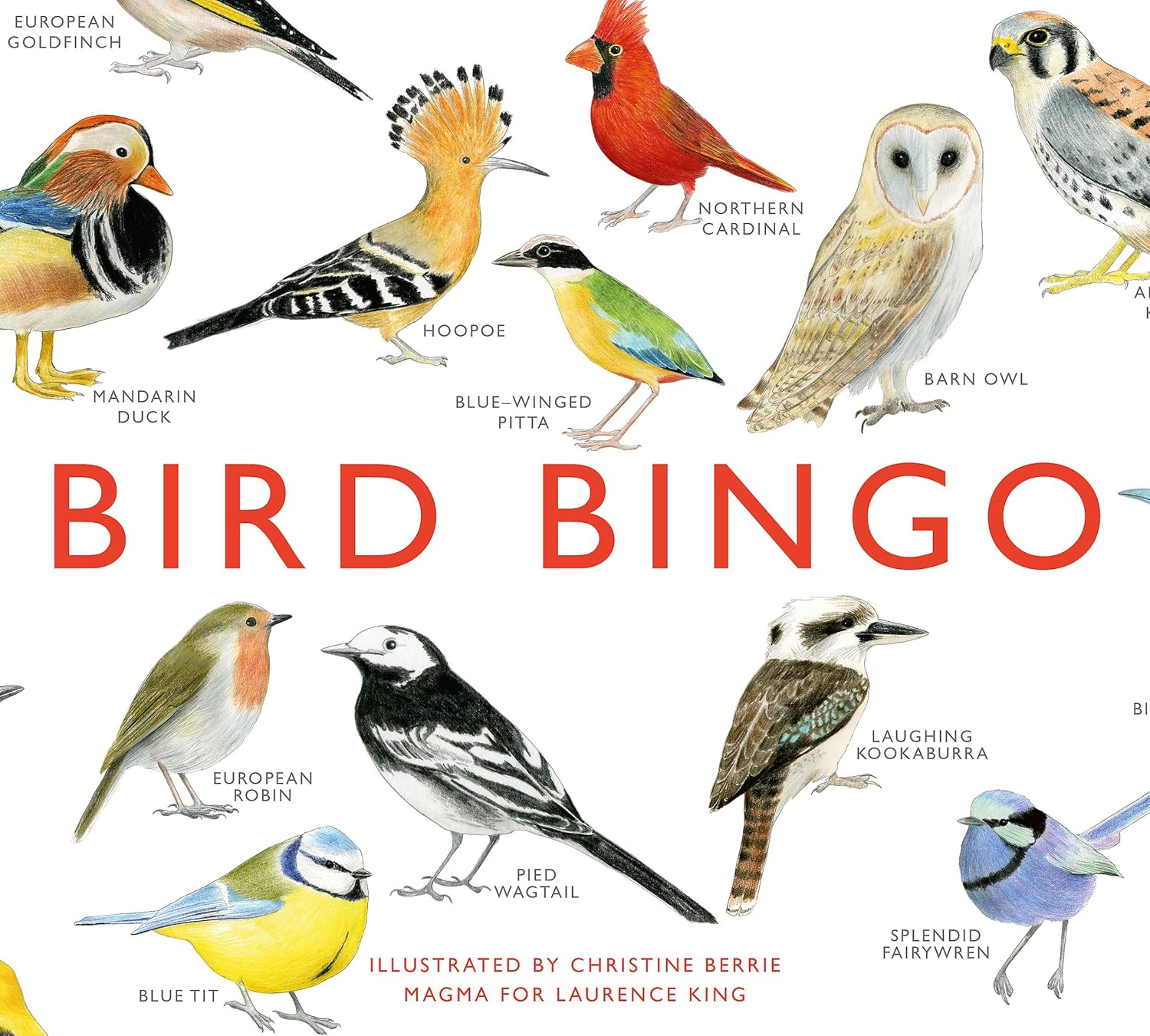 Detalle de Laurence King Bird Bingo