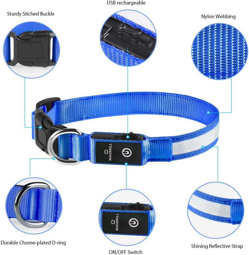 Detalle de MASBRILL Collier Lumineux pour Chien Rechargeable – LED Étanche, 3 Modes, Taille L (Bleu)