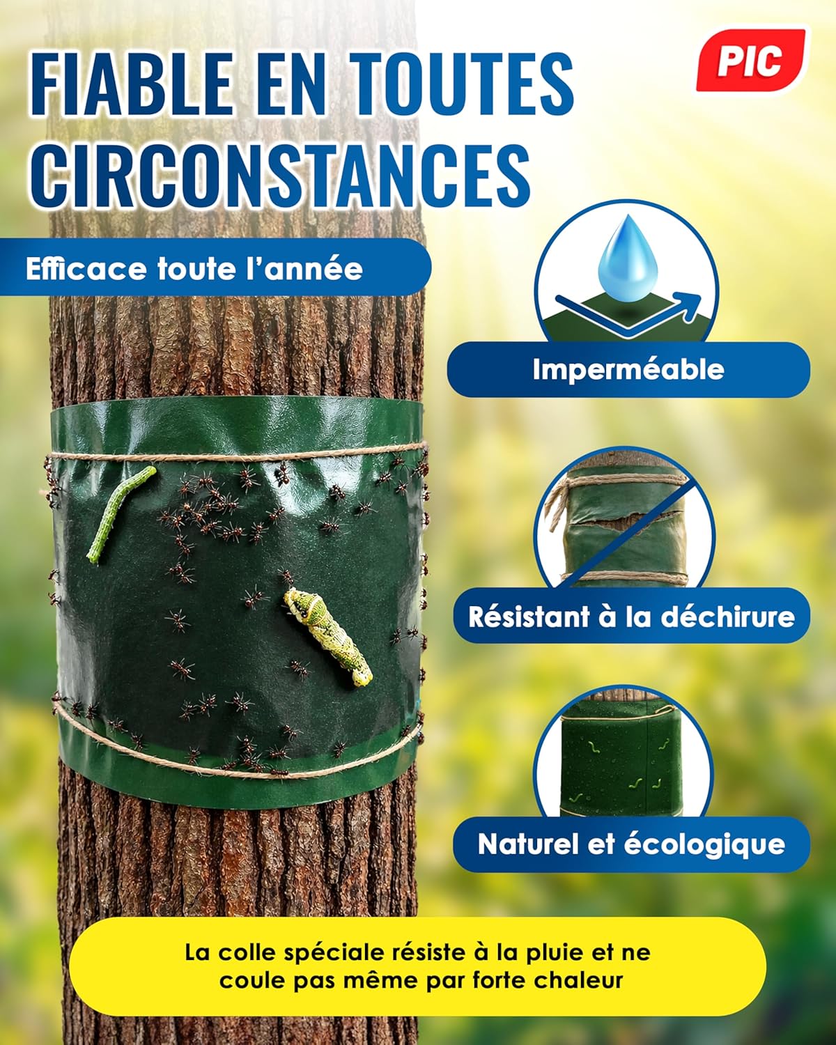 Thumbnail 2 de PIC Bande Glue Arbre Fruitier – bande de colle arboricole anti-fourmis, 10 mètres