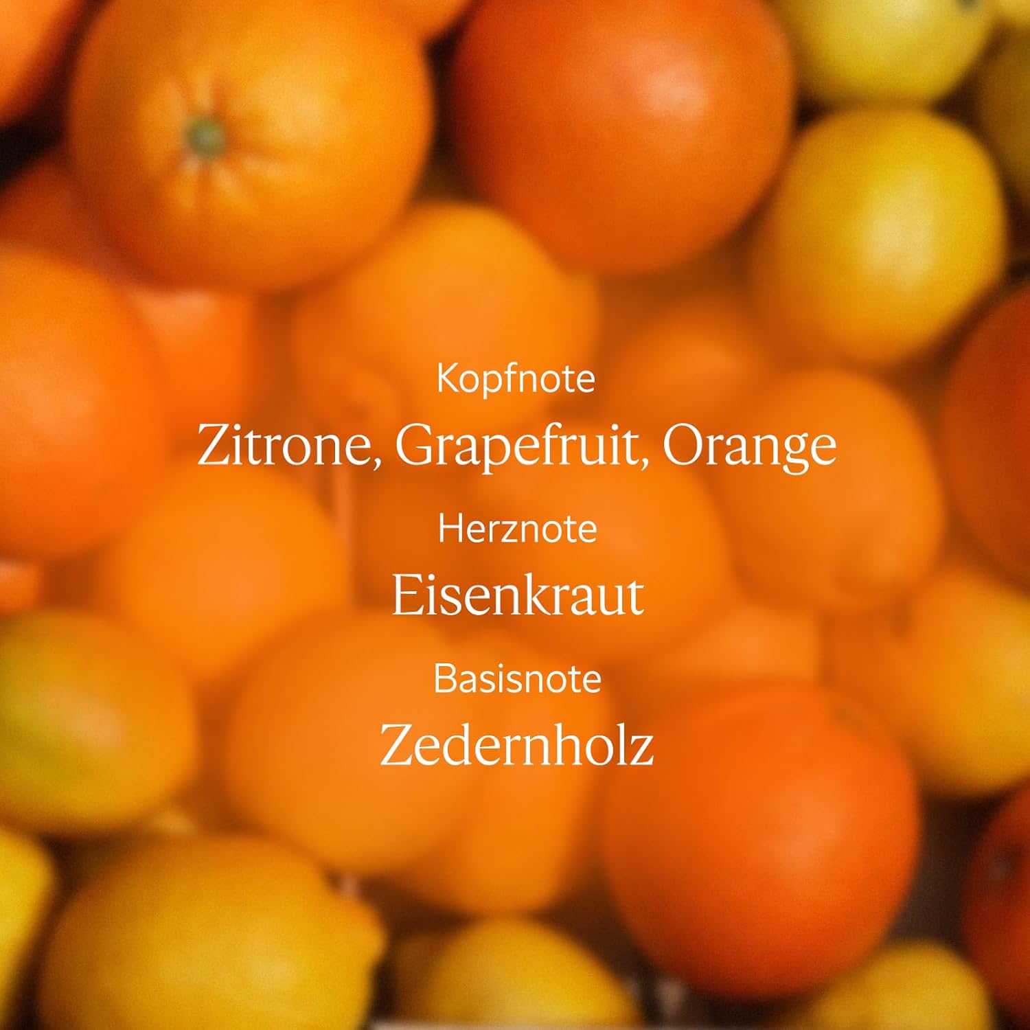 Thumbnail 2 de L'OCCITANE Frische-Bodylotion Eisenkraut Zitrusfrüchte – 250 ml, in Frankreich hergestellt