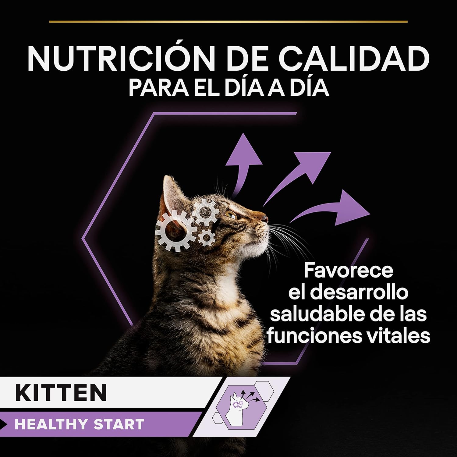 Detalle de Pro Plan Feline Junior PAVO 26X85GR – Croquettes/terrines pour chatons au poulet (26 sachets de 85 g)
