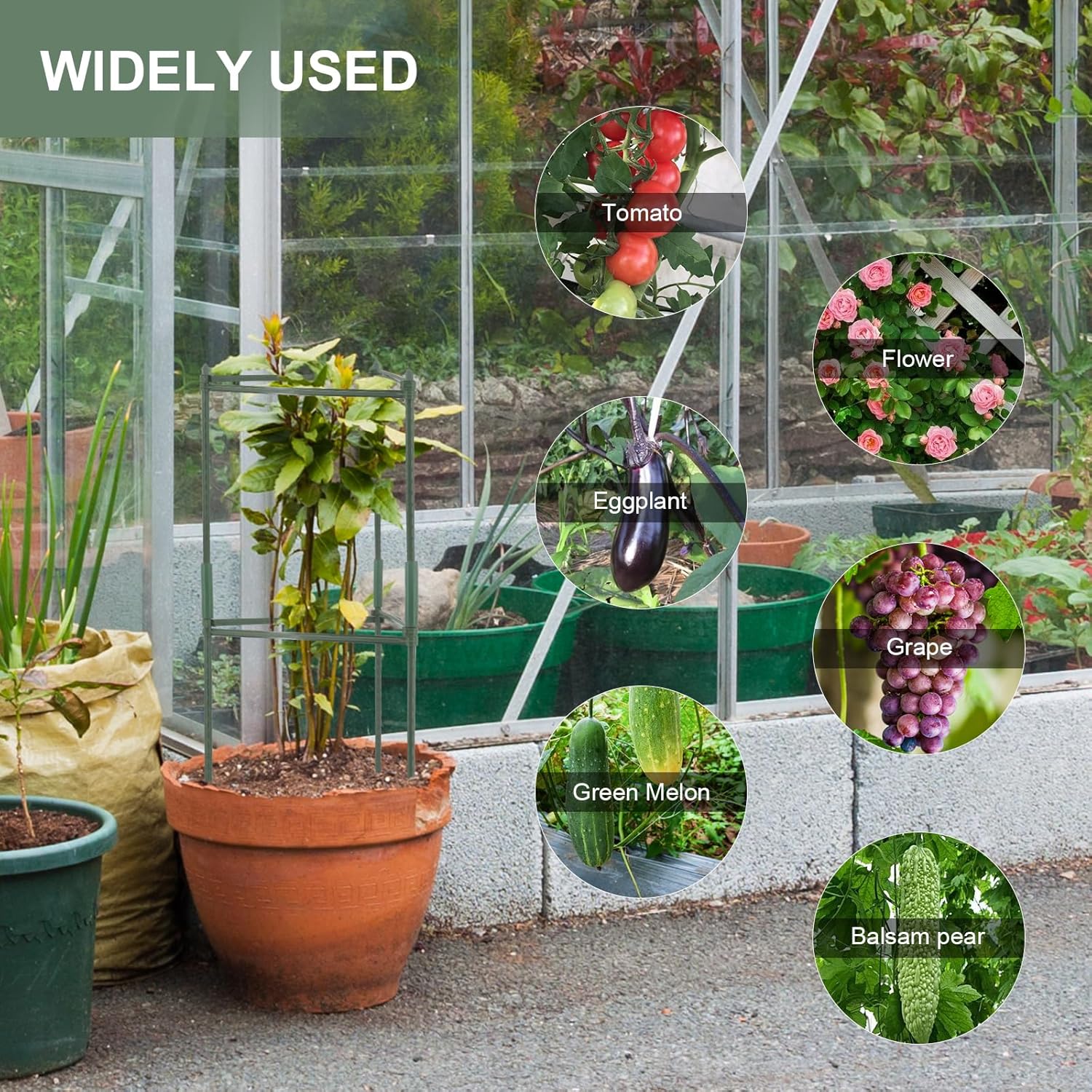 Thumbnail 5 de MoYouno Tomato Support Set of 3: Adjustable Climbing Vegetable Trellis Cages