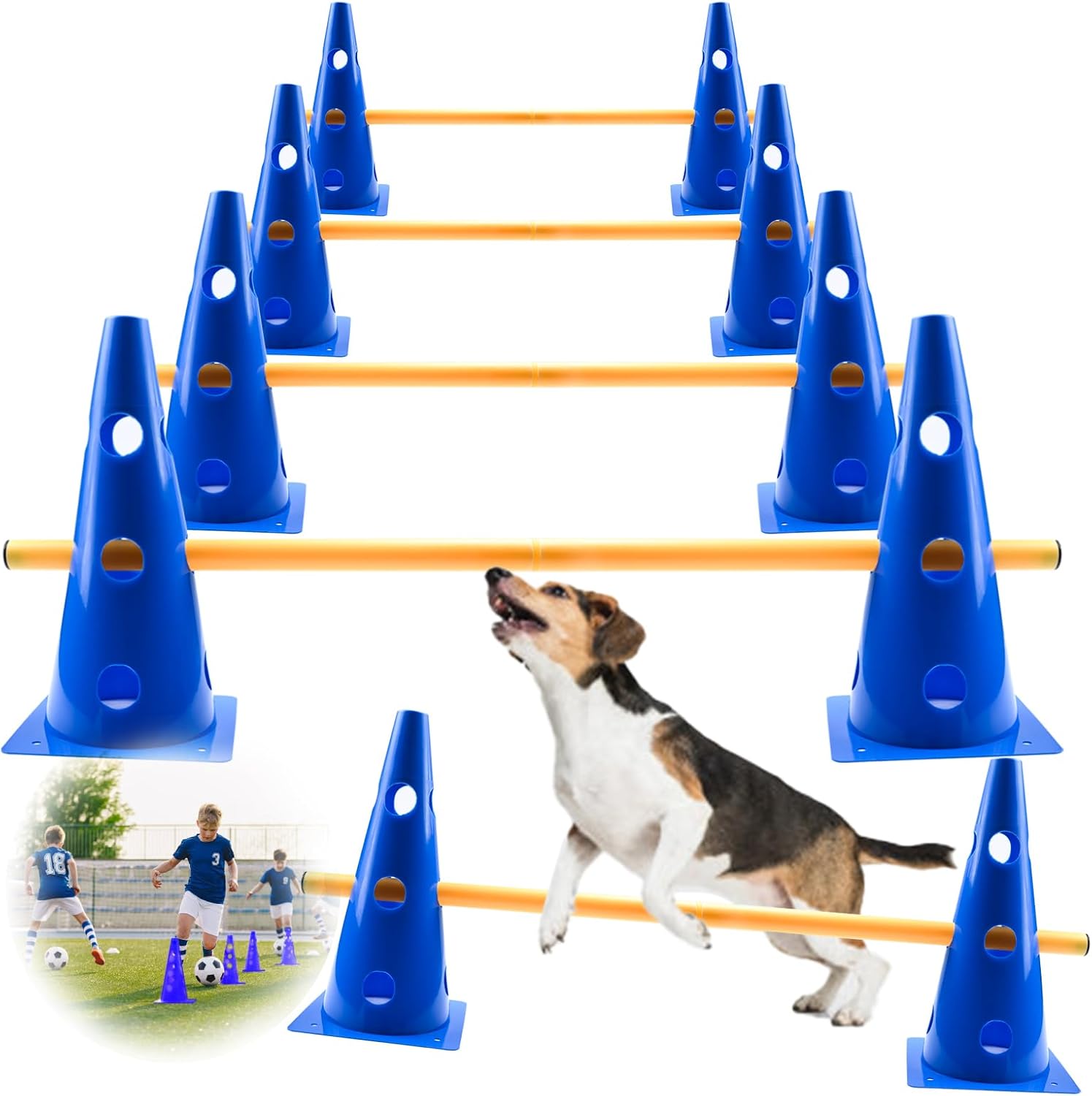 Zazafolora Agility Set für Hunde (Klein) – Cavaletti/Steckhürden mit 23 cm Höhe, 8 Stangen und 8 Kegeln