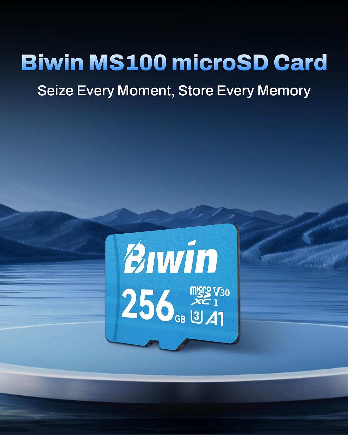 Detalle de Biwin MS100 Micro SDXC Card 256GB – Fast UHS-I Storage for 4K and Apps